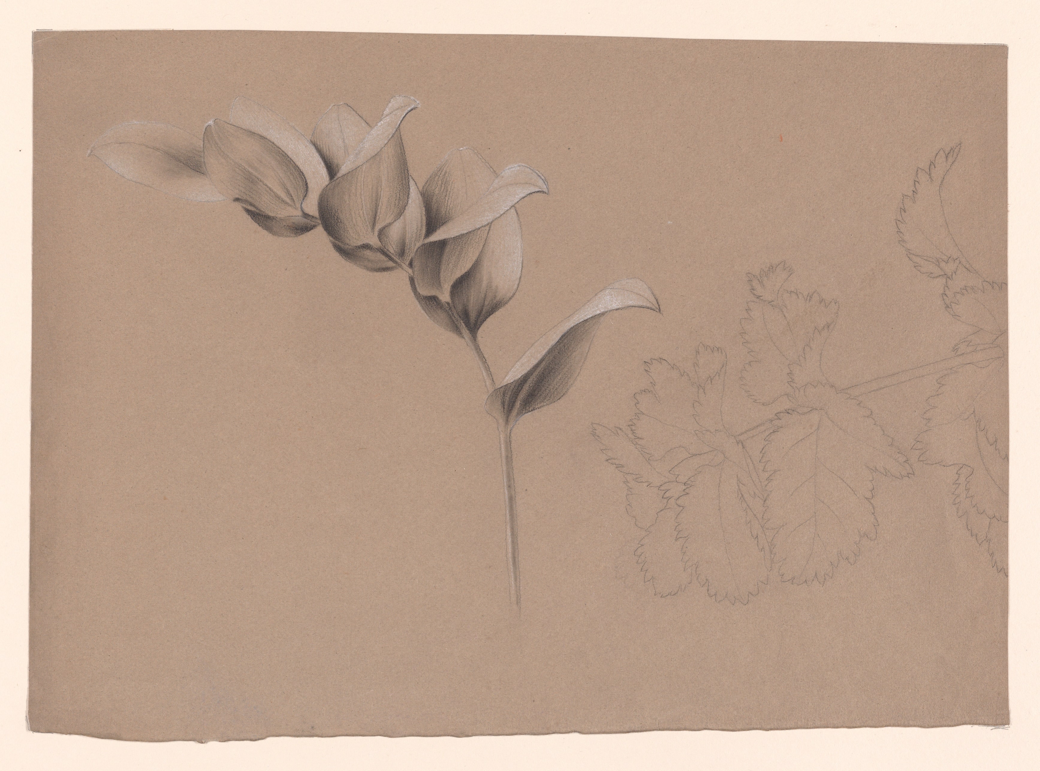 Floral Design