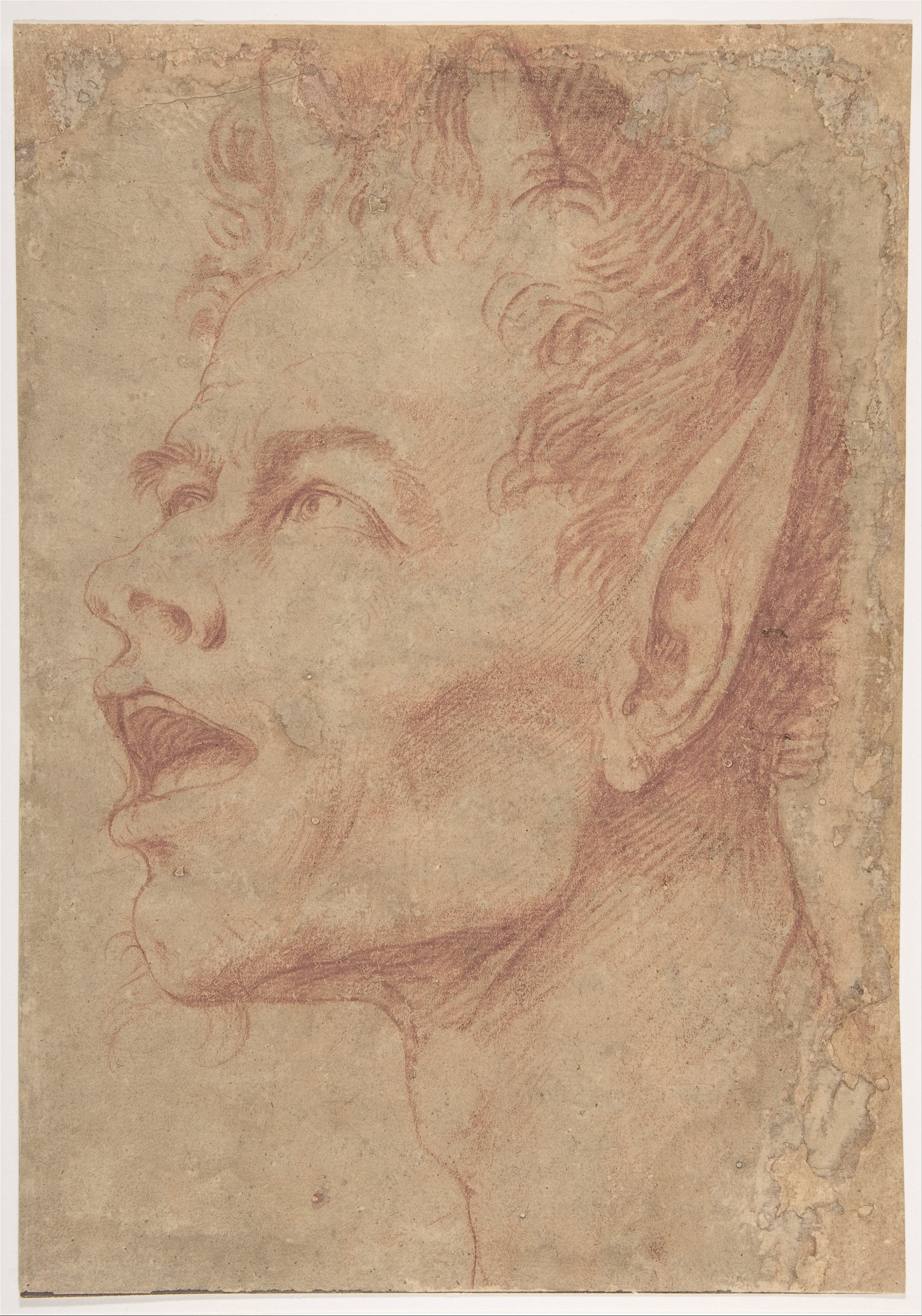 Head of a Satyr Facing Left