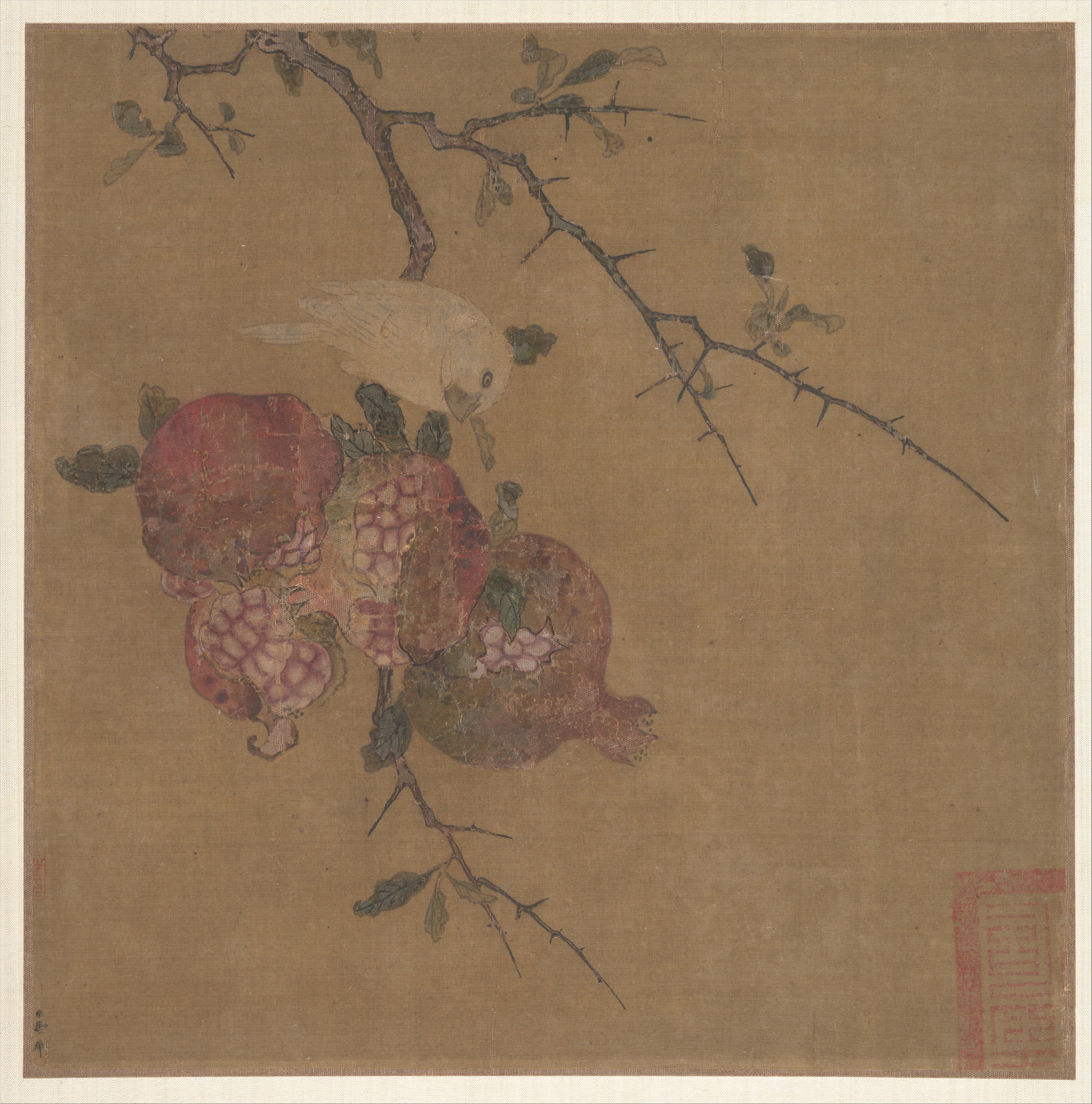明/清   佚名   傳馬麟   石榴白鳥圖   冊頁	|Pomegranates after Ma Lin