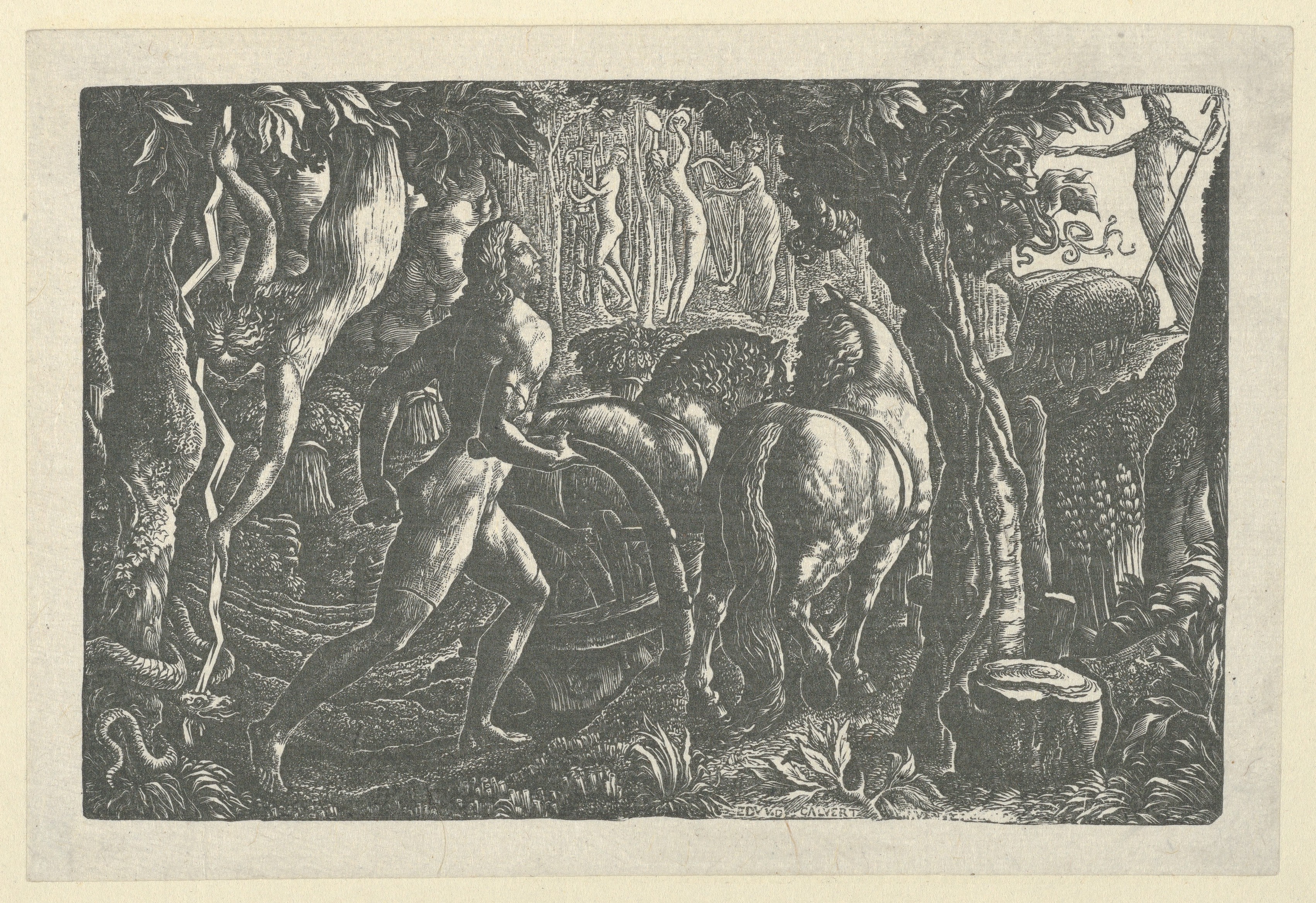 The Ploughman