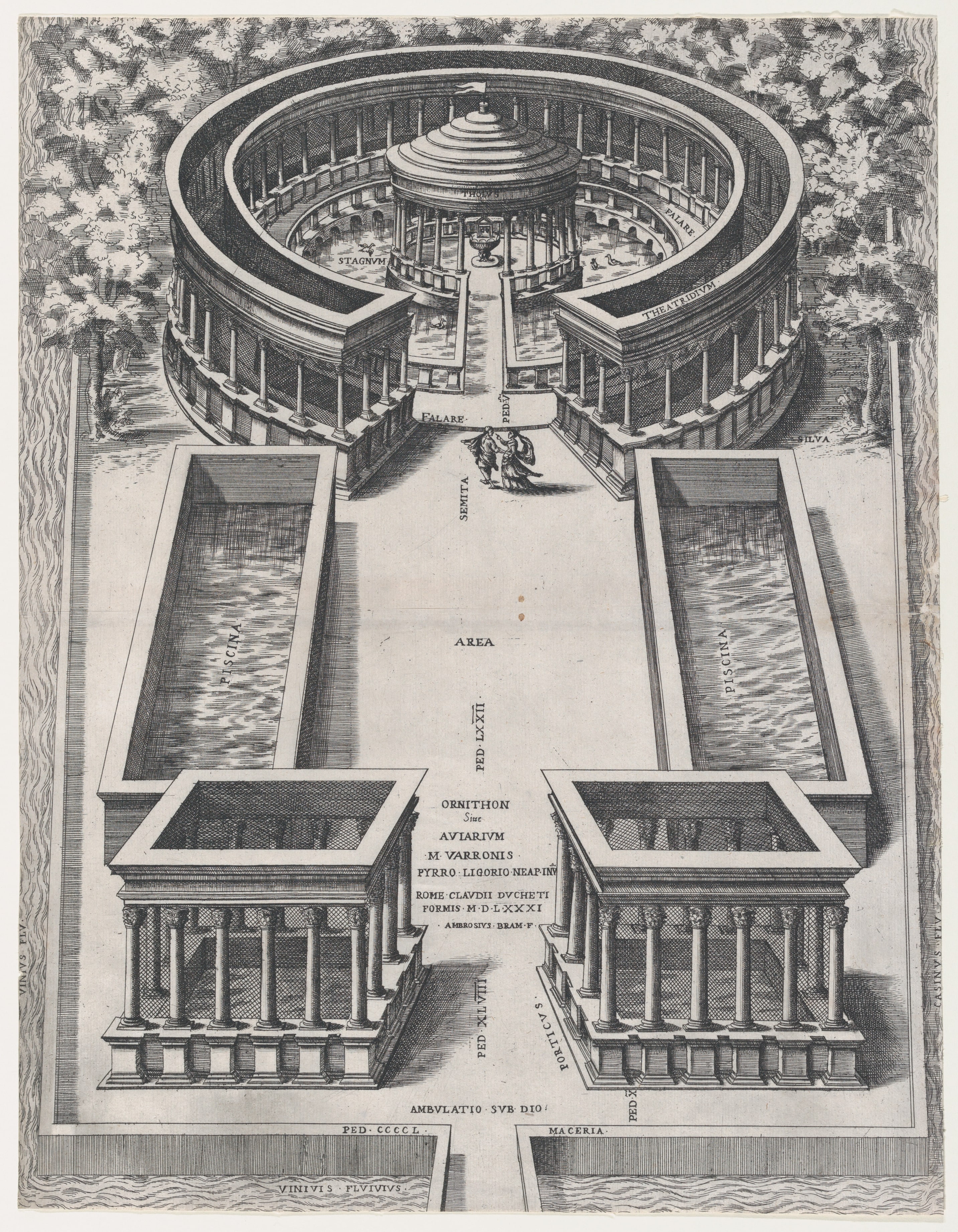 Speculum Romanae Magnificentiae: Ornithon Sive Aviarum