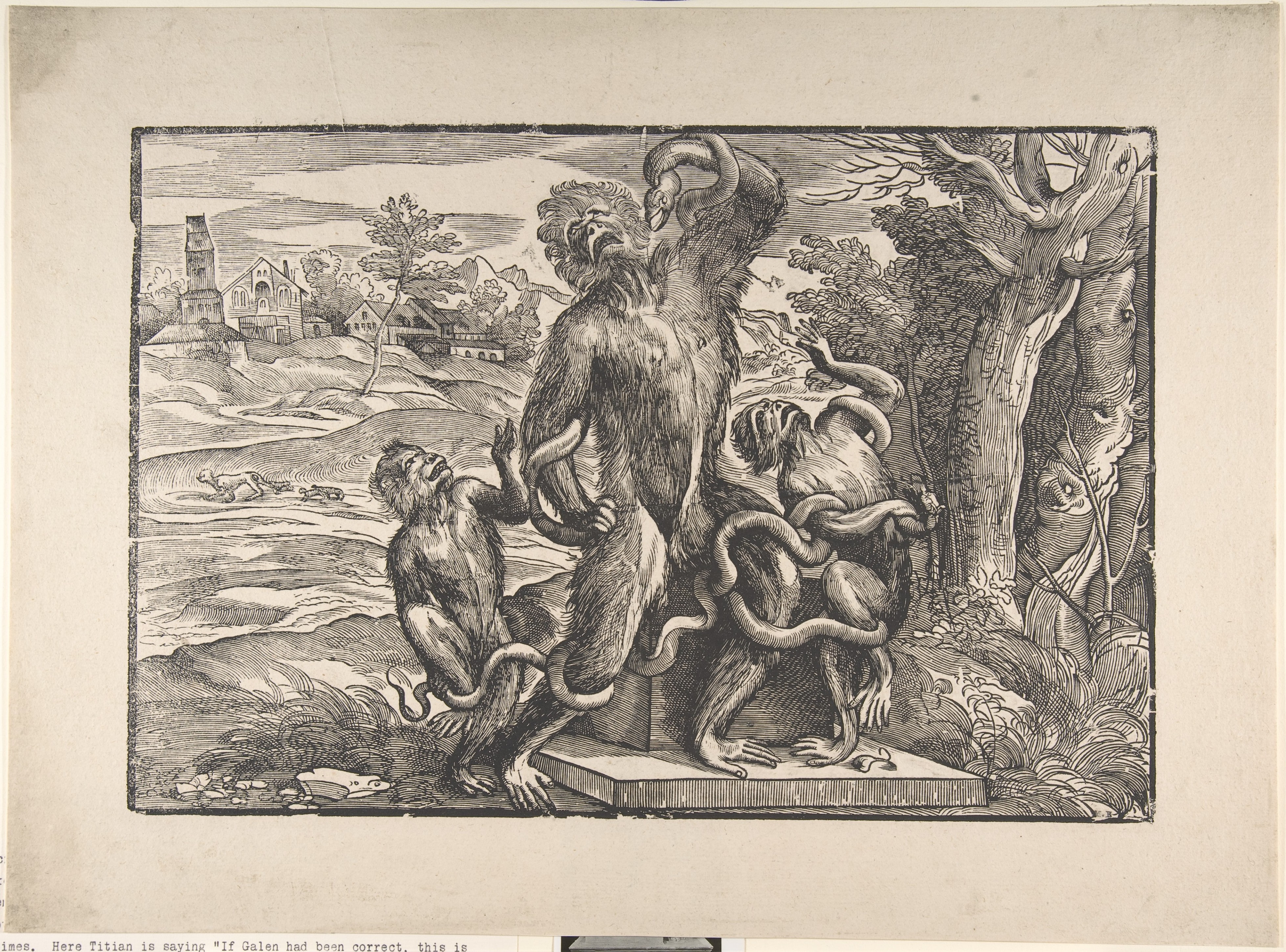 Caricature of the Laocoön scuptural group, excavated in Rome in 1506