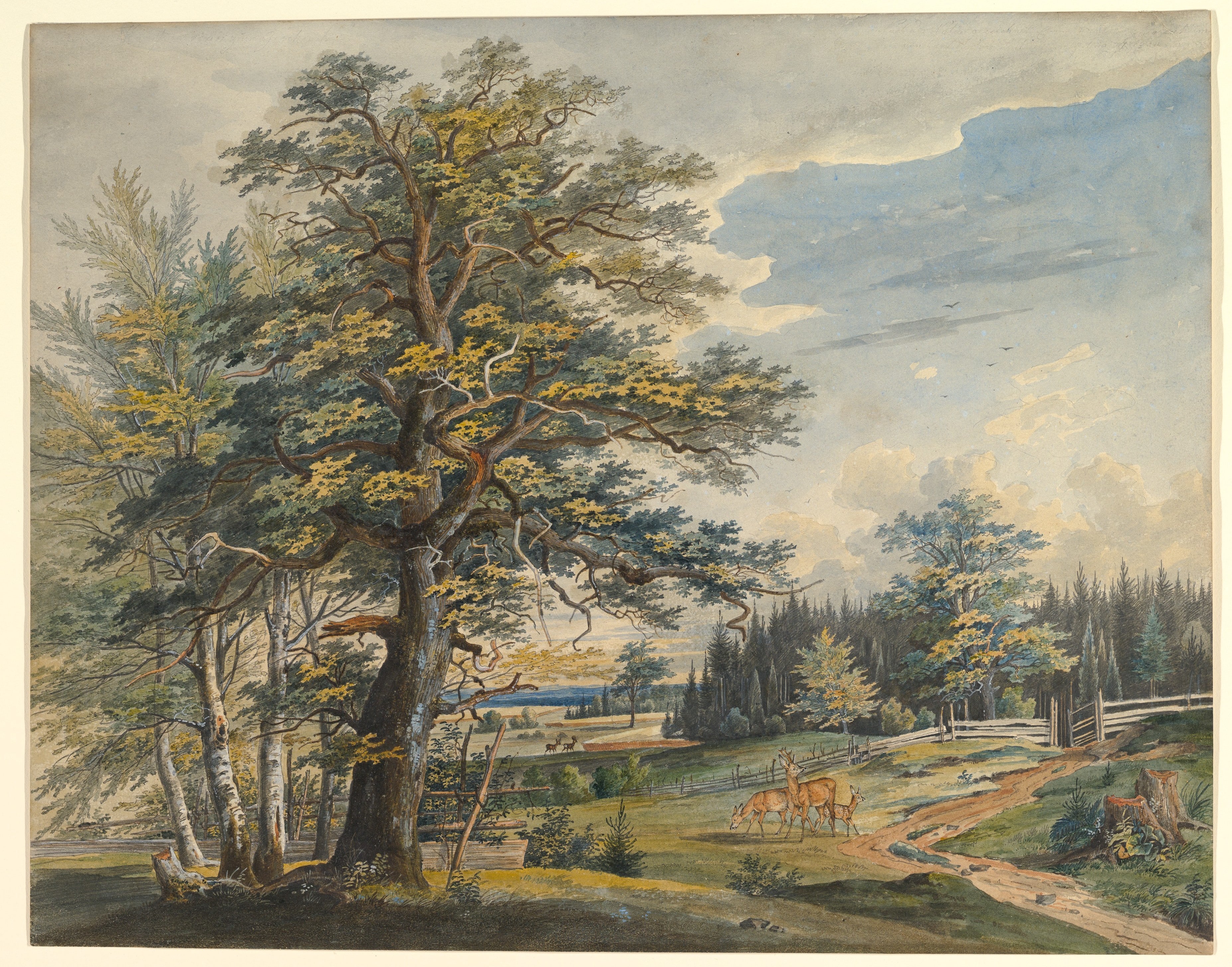Wooded Landscape with Stag