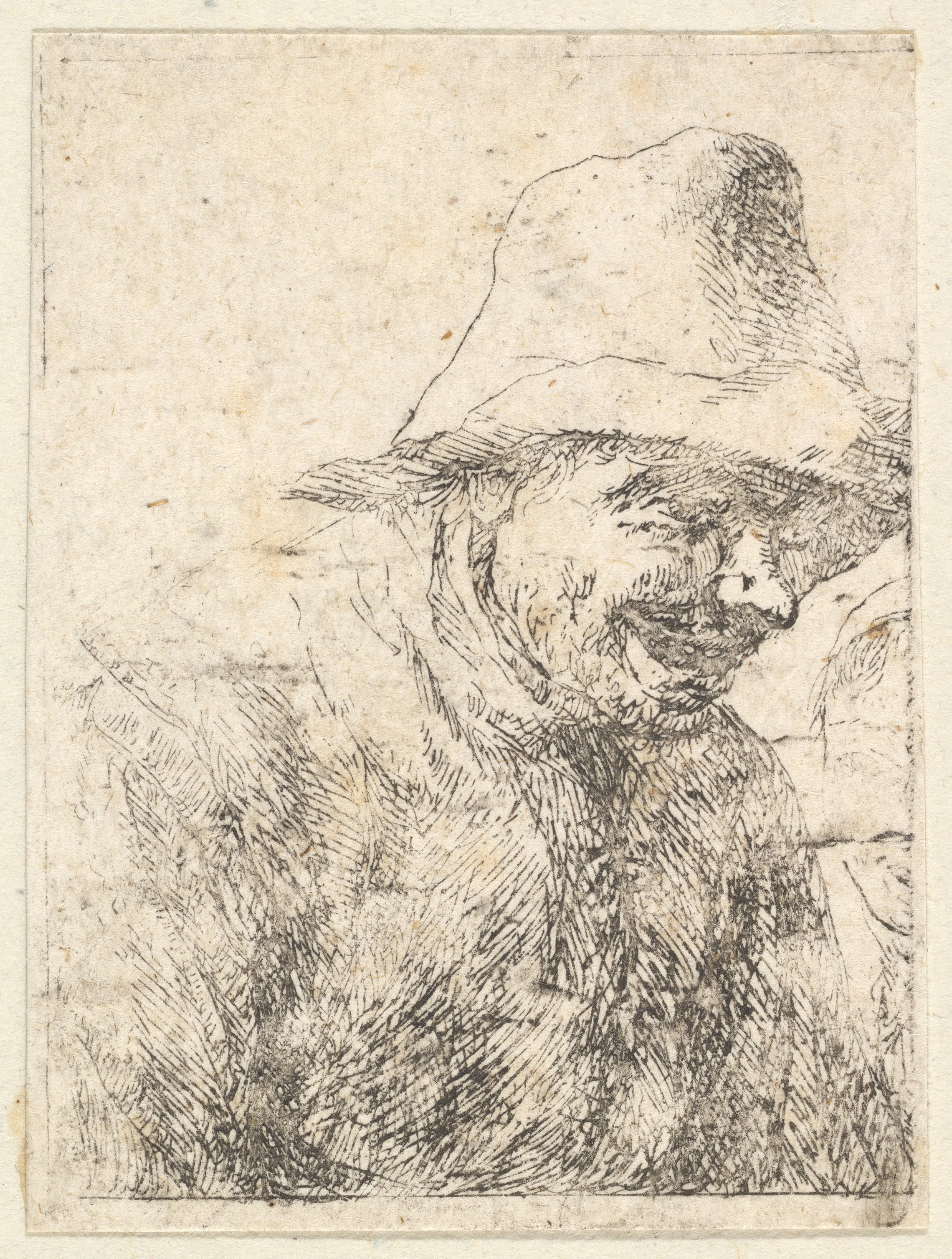 Head of a Peasant