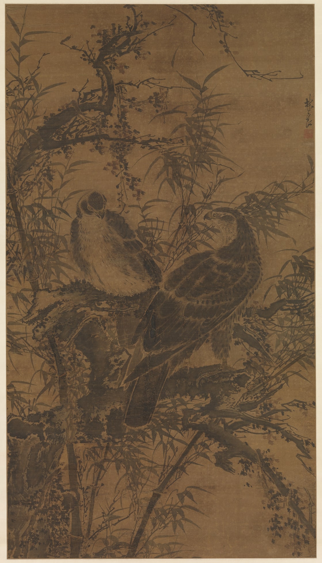明  林良  二鷹圖  軸|Two hawks in a thicket