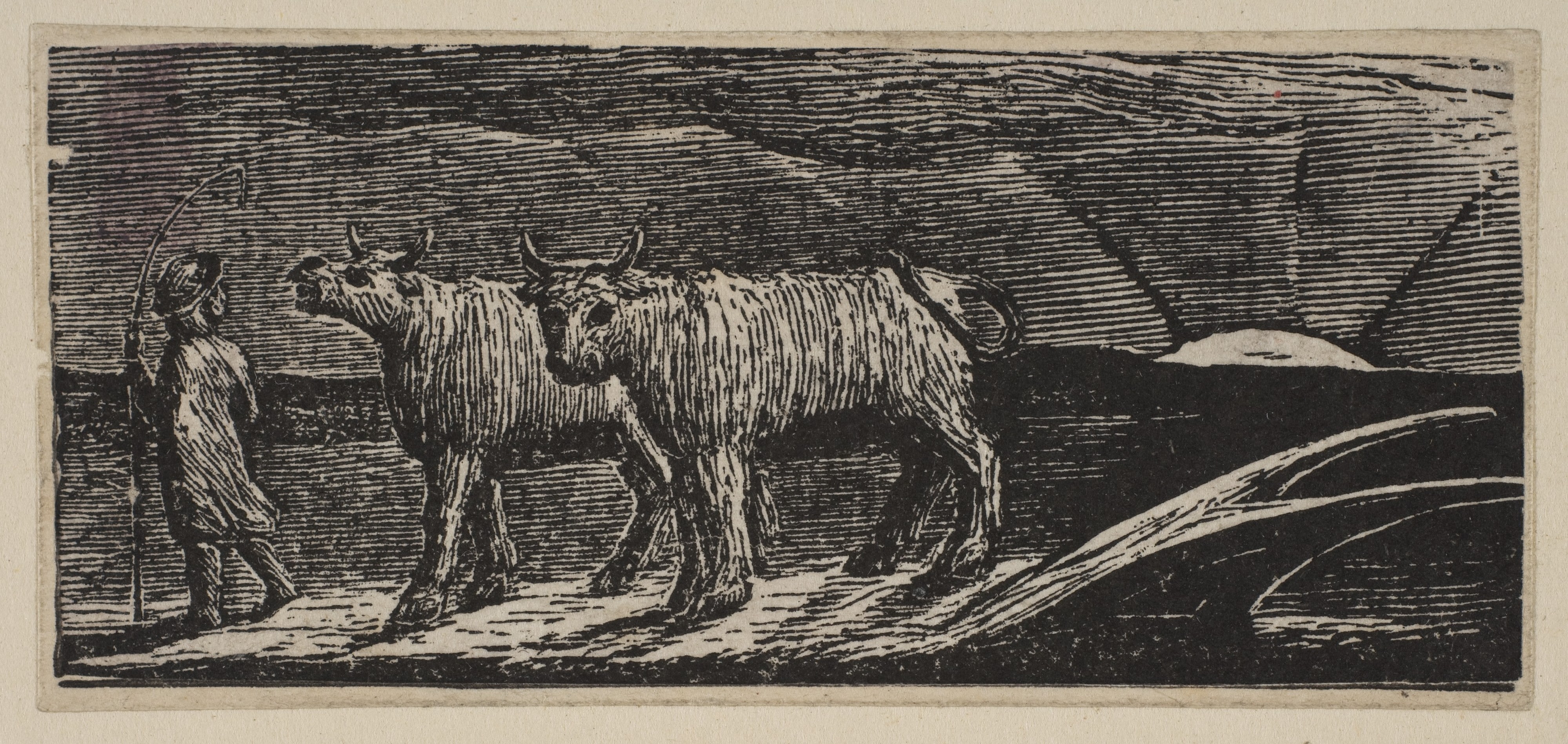 Unyok'd Heifers, Loitering Homeward (Return of the Shepherd), from Thornton's "Pastorals of Virgil"