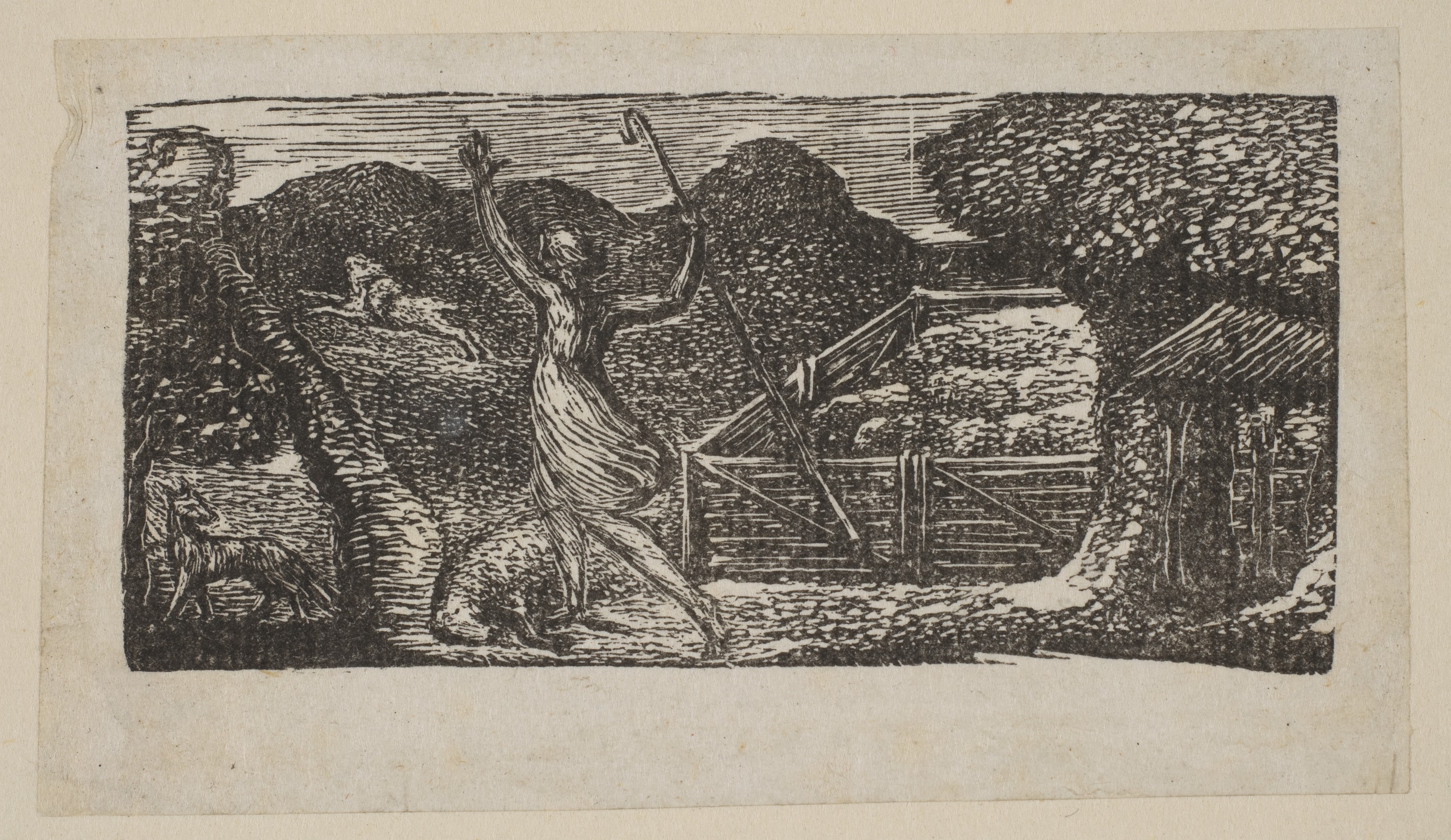 Shepherd Chases Away a Wolf, from Thornton's "Pastorals of Virgil"