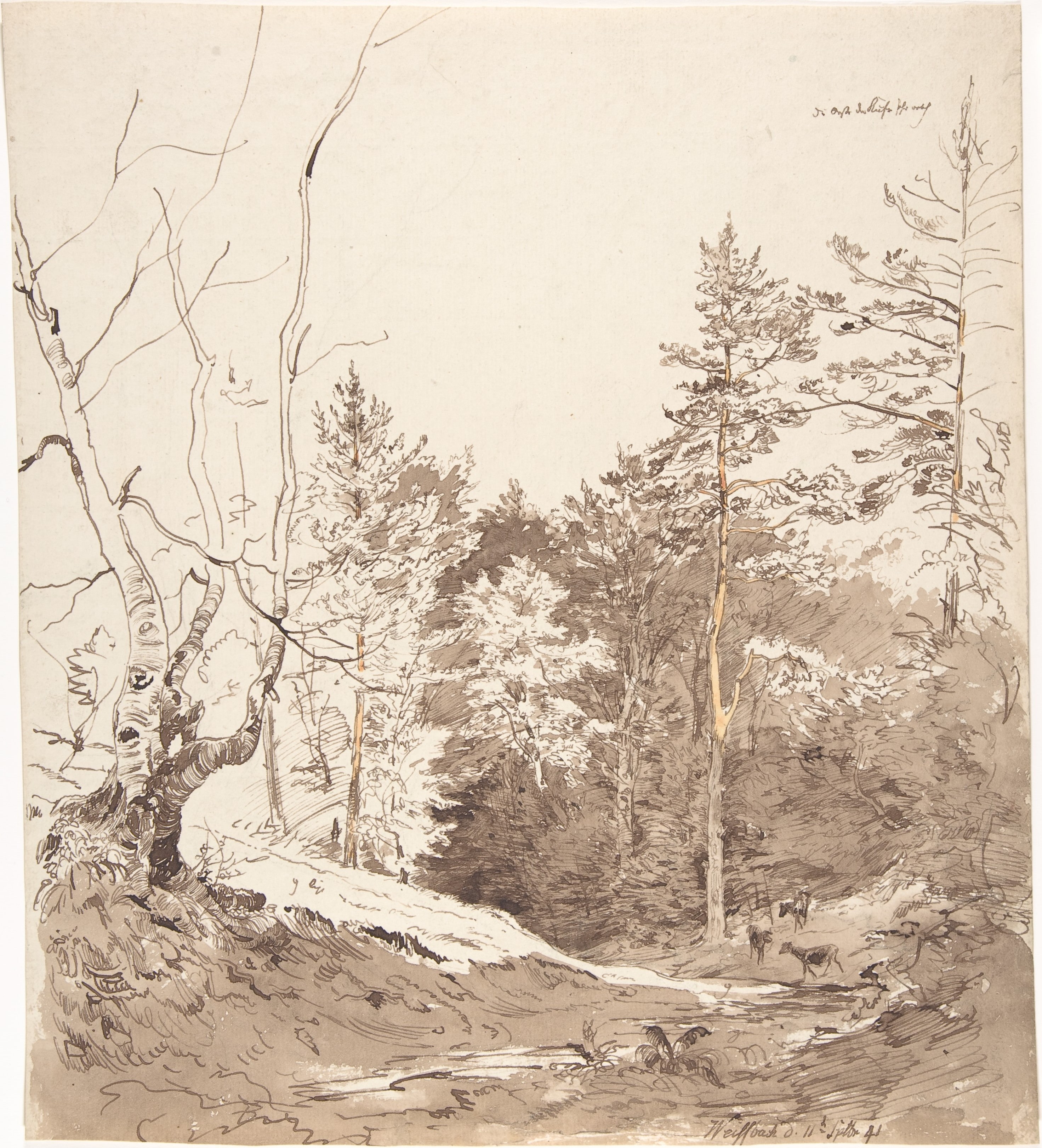 Landscape with cattle in Weißbach on the Rhön