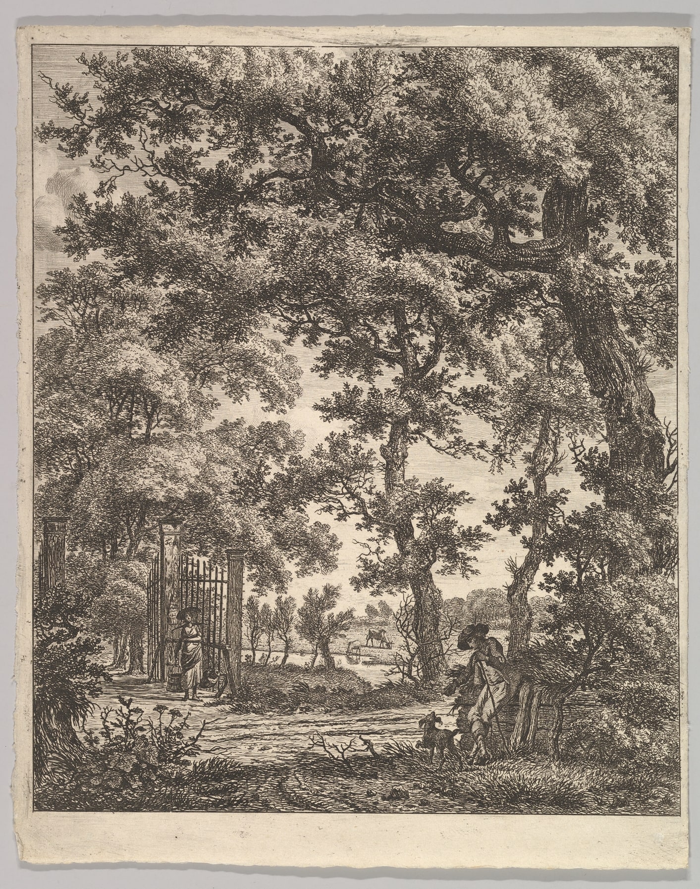 Landscape