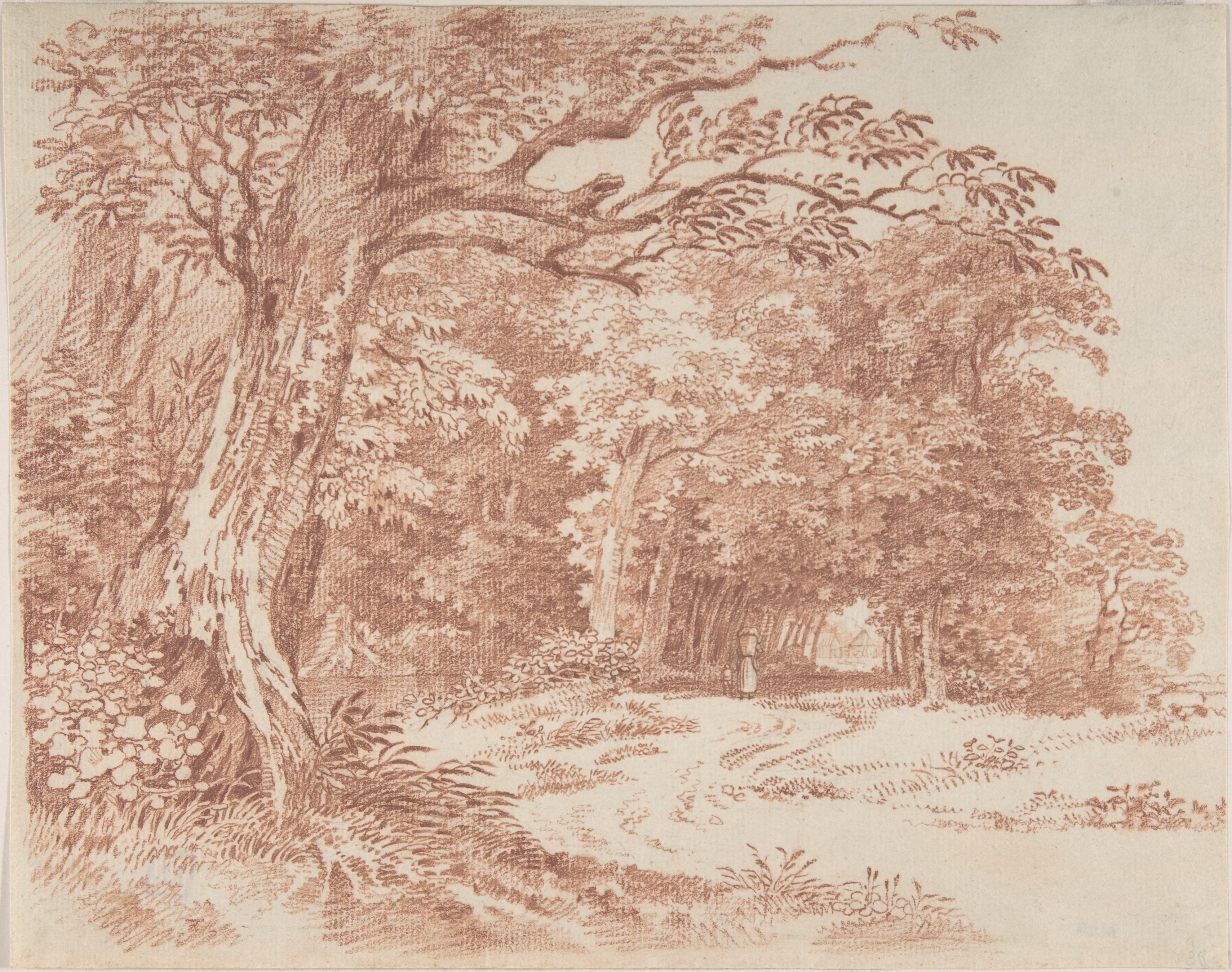 Wooded Landscape
