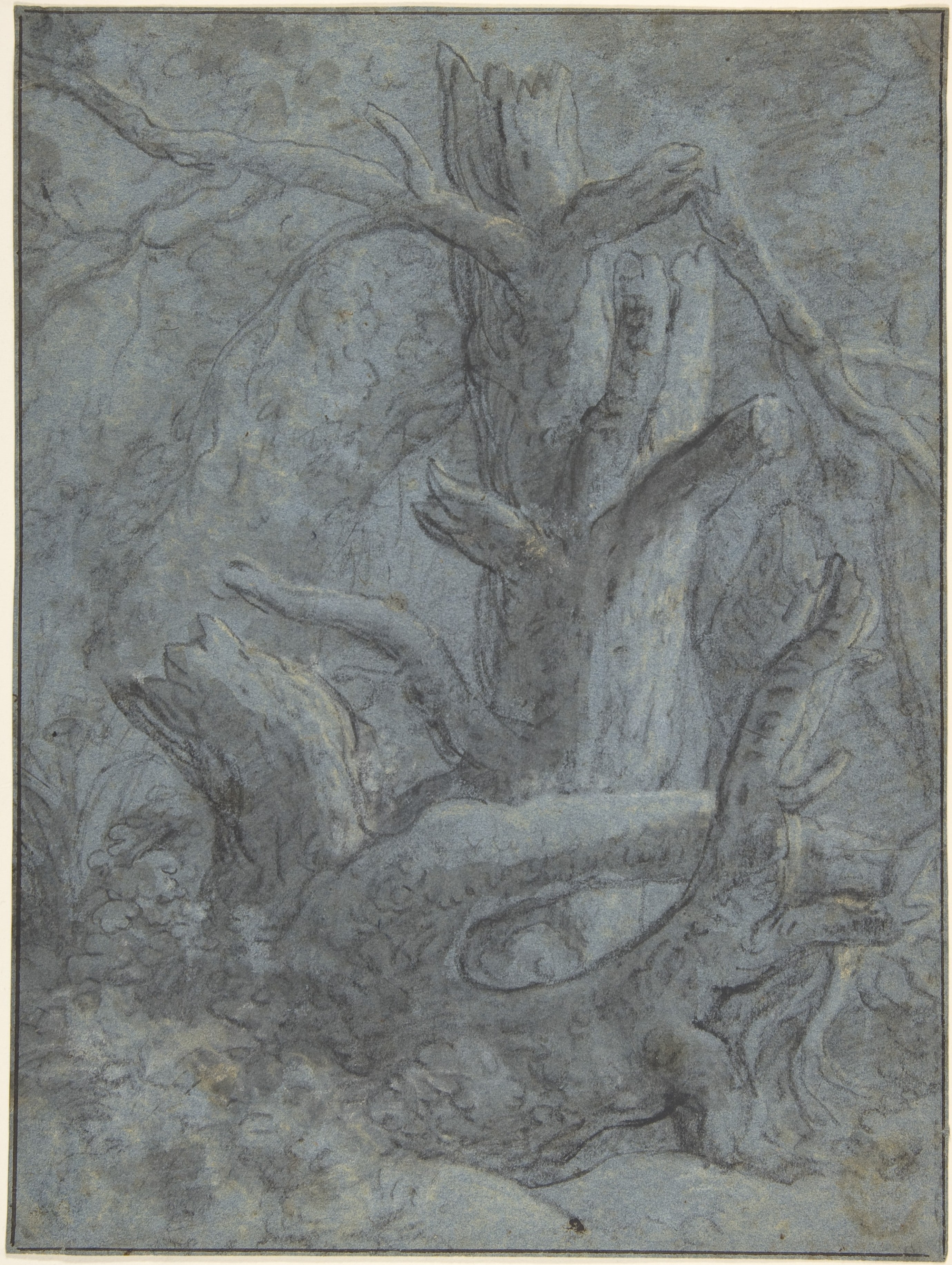 Study of a Blasted Tree Trunk and Branches