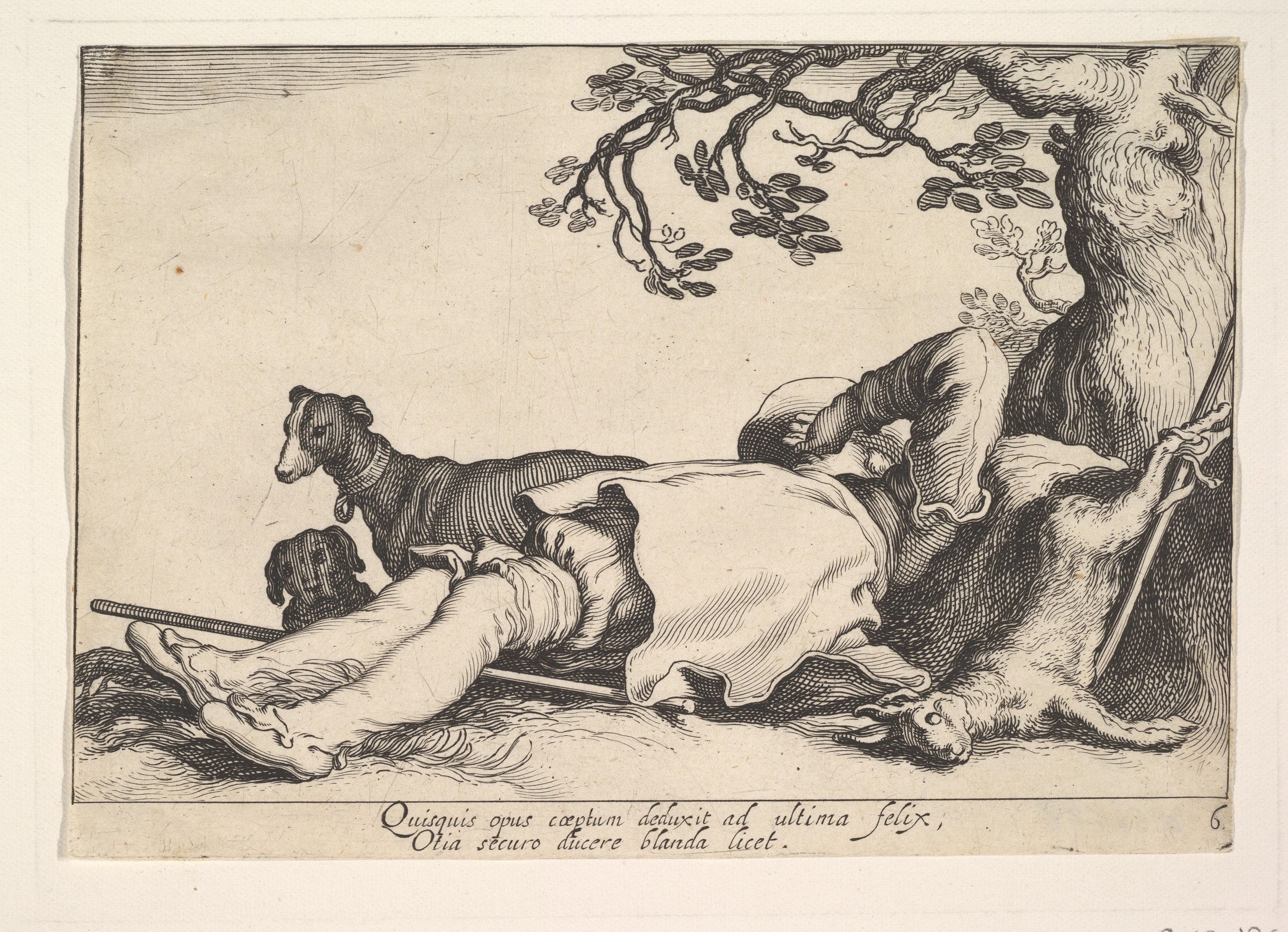 Pleasures of Occupation