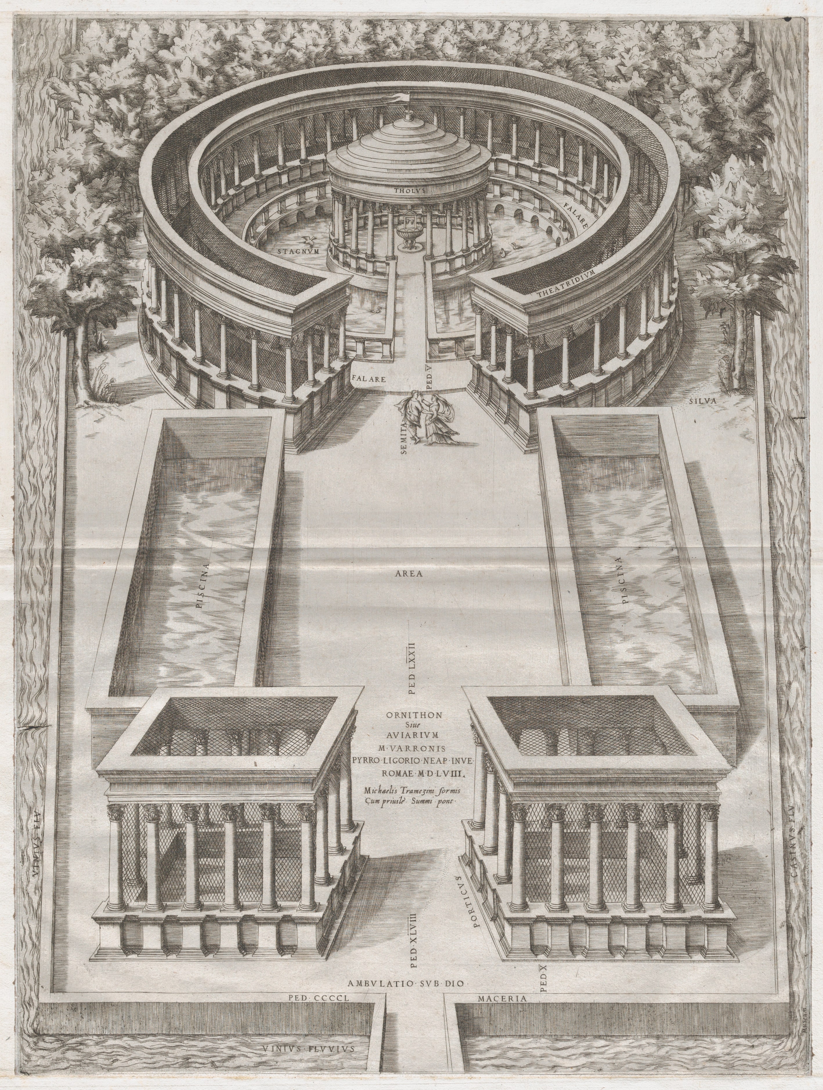 Speculum Romanae Magnificentiae: Ornithon Sive Aviarum