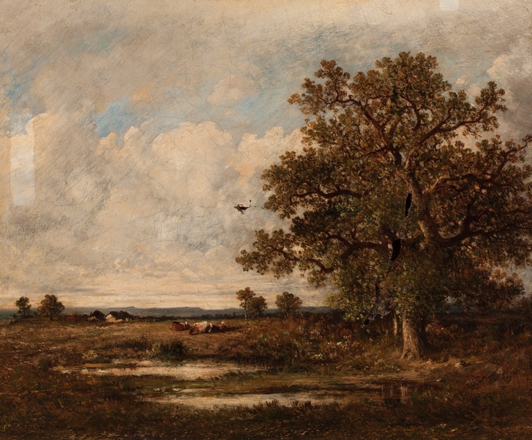 Landscape