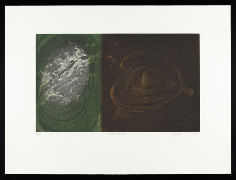 Subcutaneous, from the Colorprint U.S.A.: Spanning the States in '98 portfolio