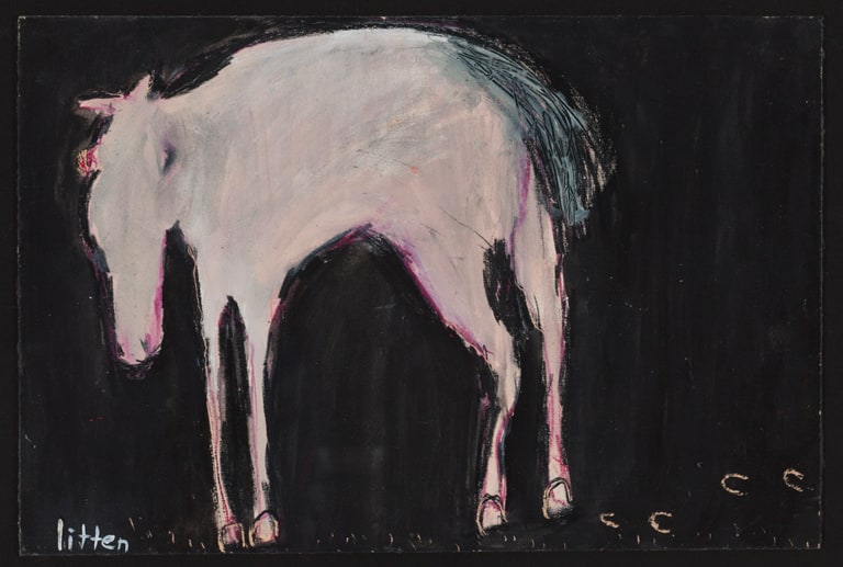 A Horse