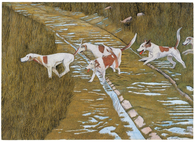 Fox Hounds