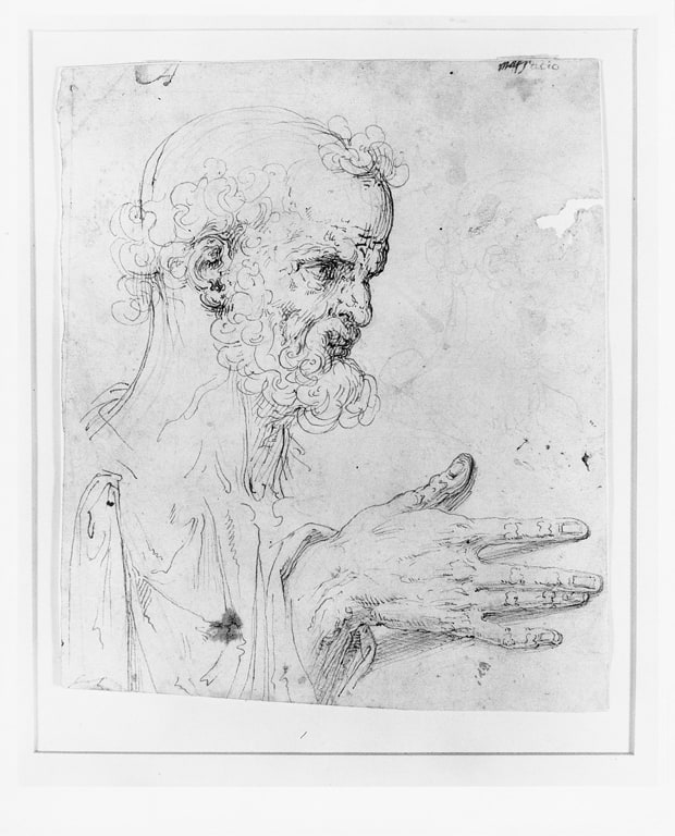 Studies of a Head and a Hand