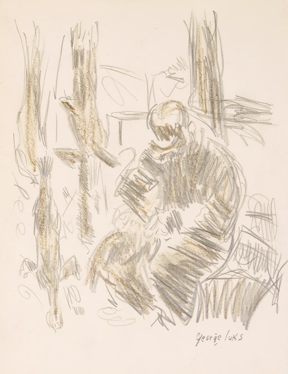 Man Plucking a Bird