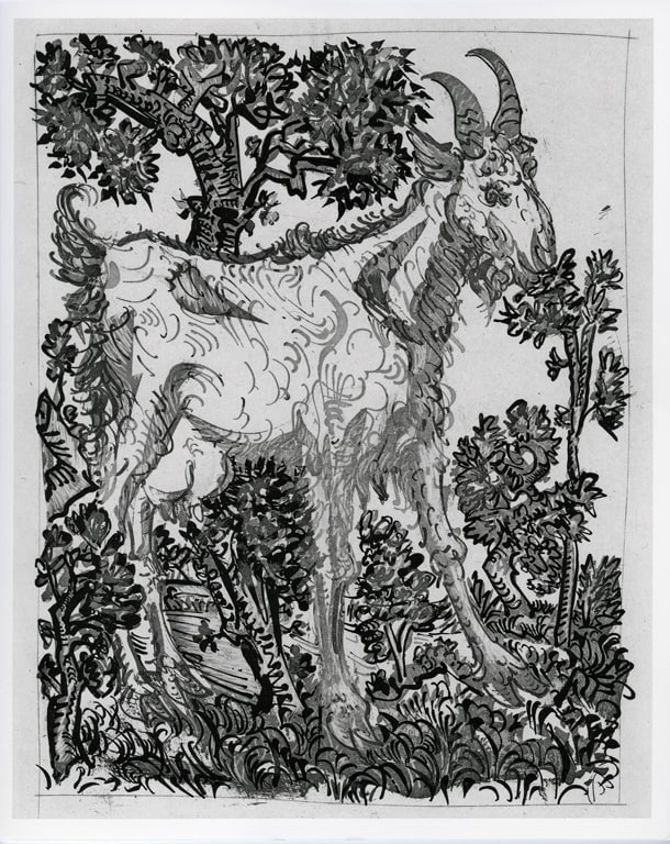 The Goat, from Picasso: Original Etchings for Buffon's Text