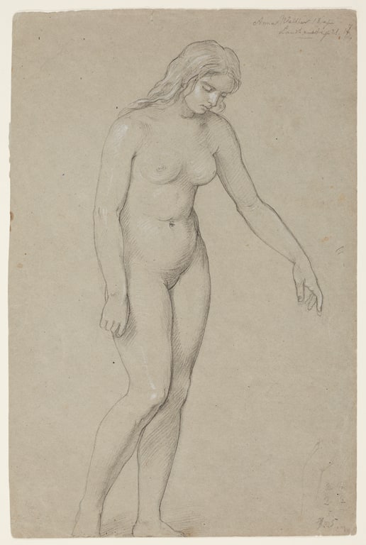 Standing Female Nude