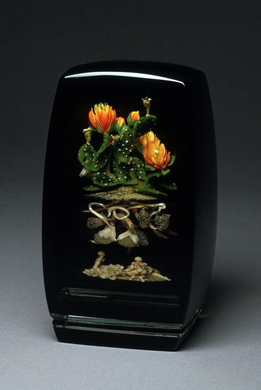 Flowering Cactus Cloistered Botanical