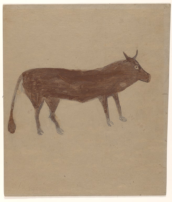 Brown Bull