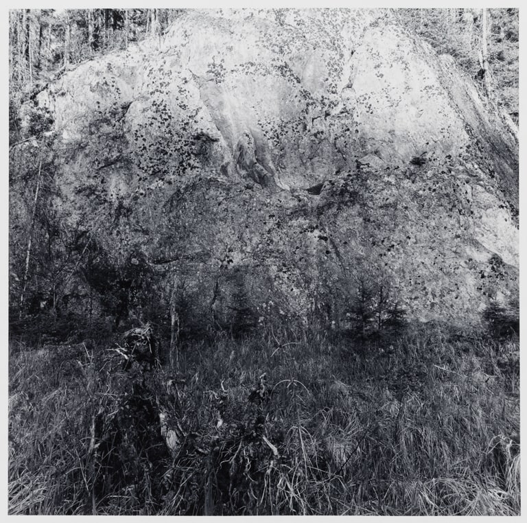 Untitled (No. 12), from the Buckingham Lake series