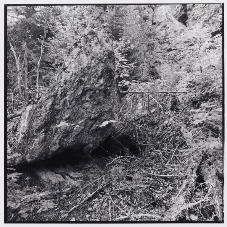 Untitled (No. 2), from the Buckingham Lake series