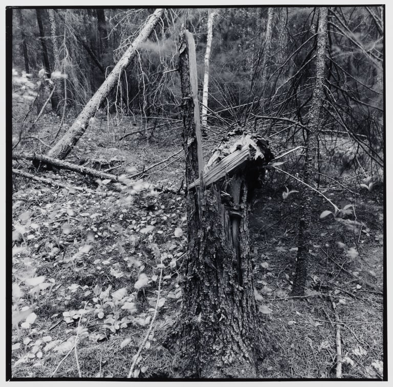 Untitled (No. 23), from the Pickerel Lake series