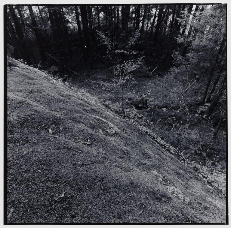 Untitled (No. 24), from the Pickerel Lake series