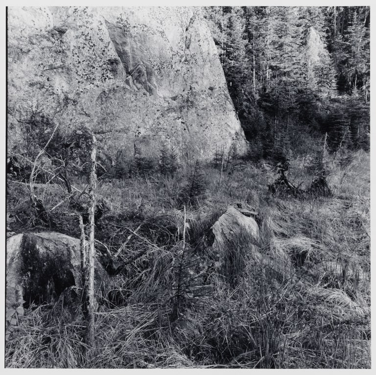 Untitled (No. 7), from the Buckingham Lake series