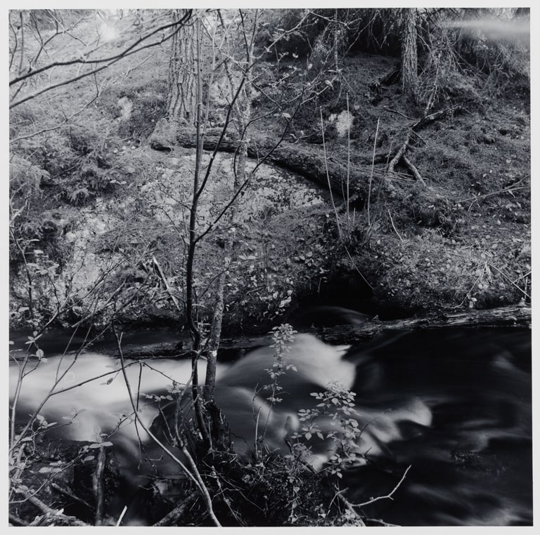 Untitled (No. 3), from the Buckingham Lake series