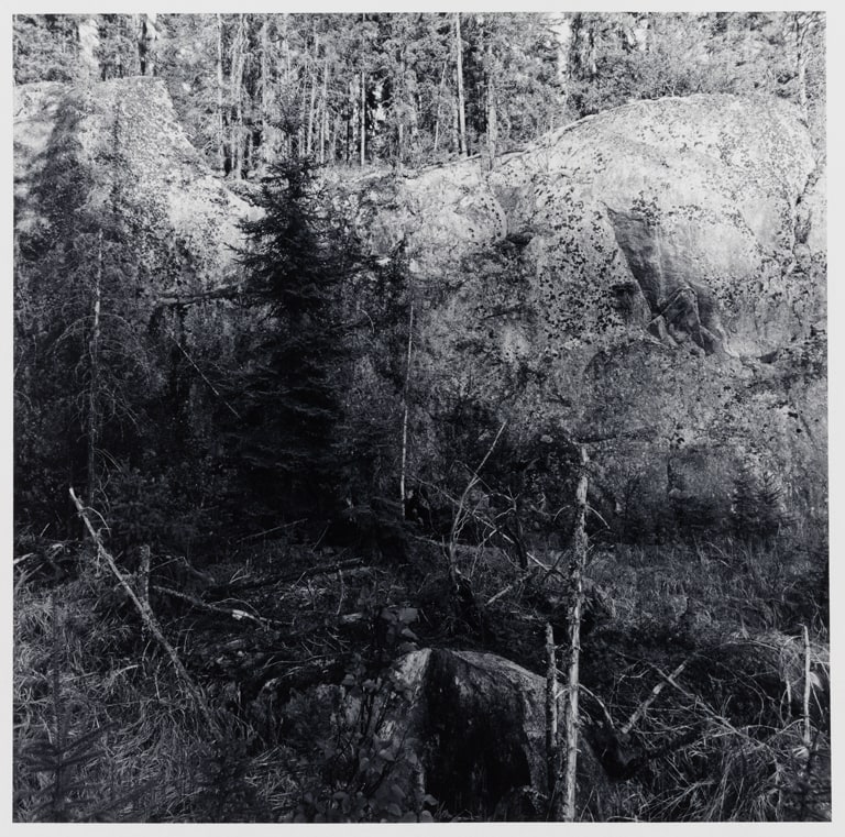 Untitled (No. 8), from the Buckingham Lake series