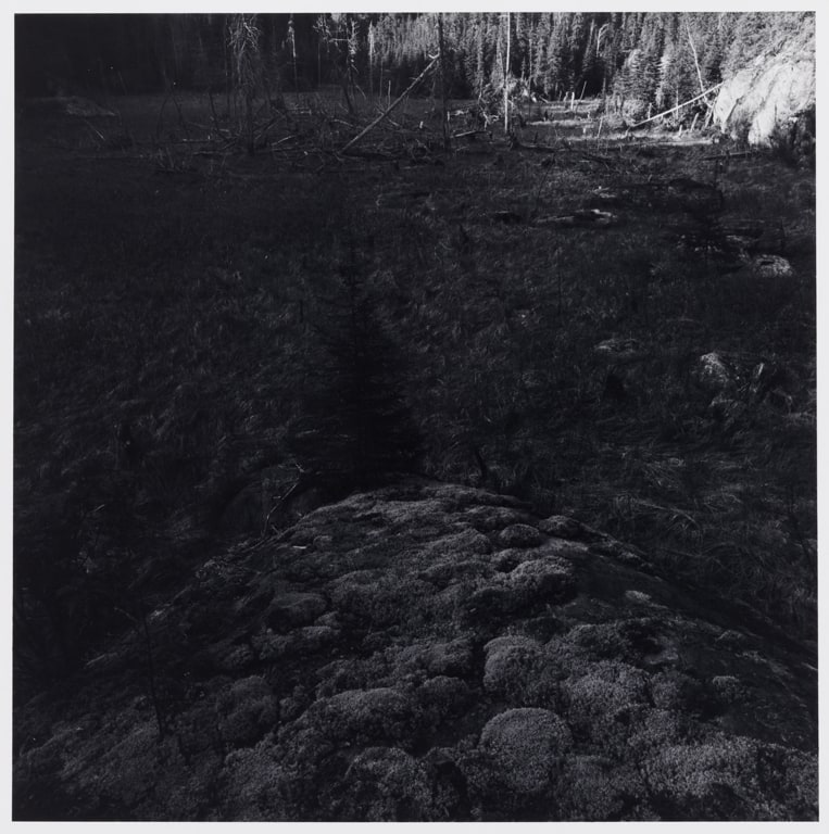 Untitled, from the Buckingham Lake series