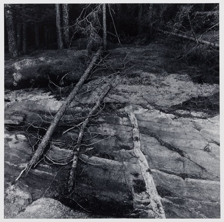Untitled (No. 9), from the Pickerel Lake series