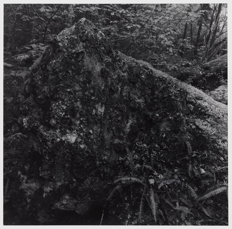 Untitled, from the Buckingham Lake series