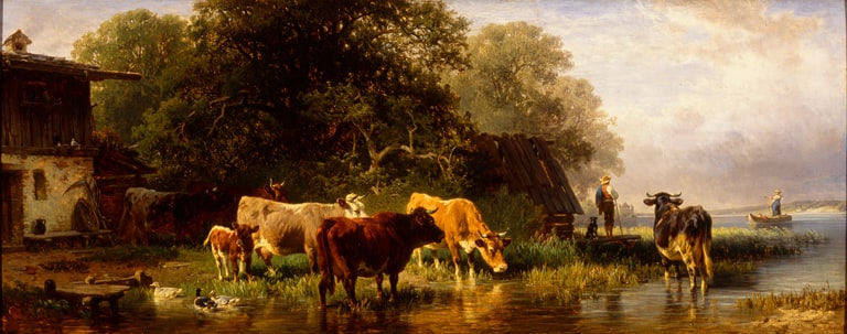 Cow Herd at Lake Starnberg