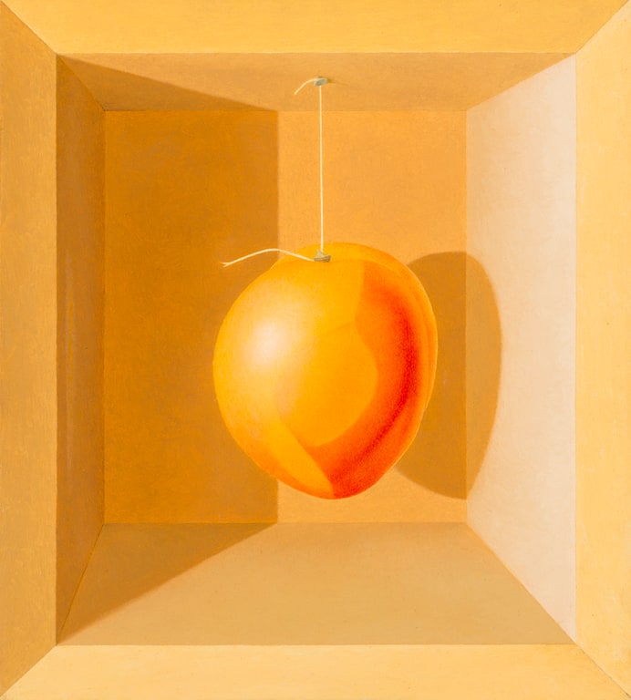 Boxed Fruit #1: A Nectarine