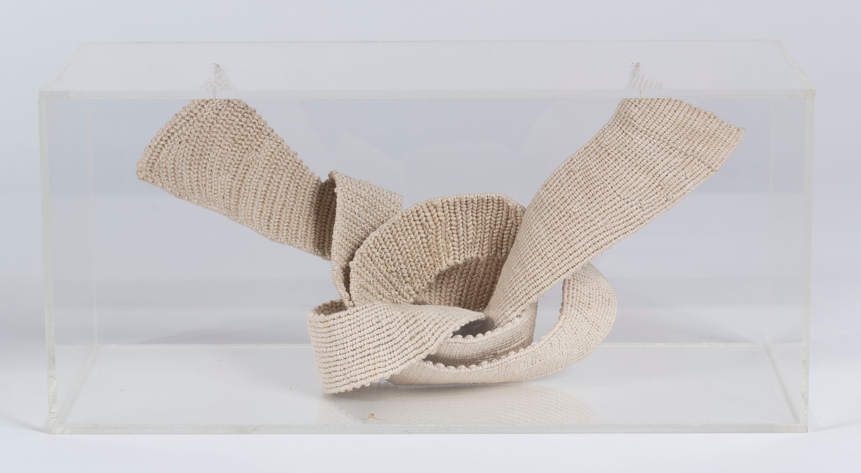 Knot