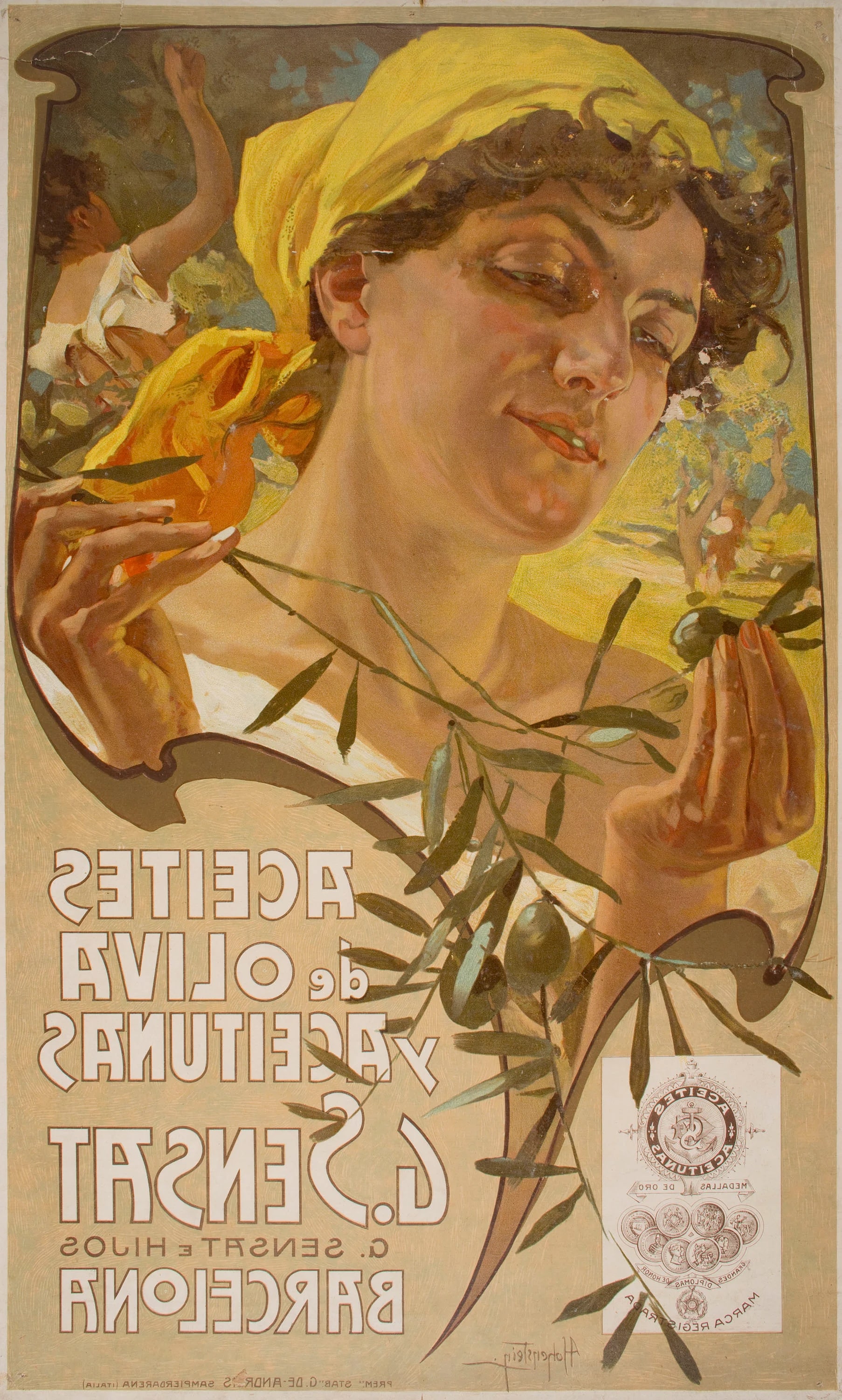 Aceites de oliva y aceitunas G. Sensat