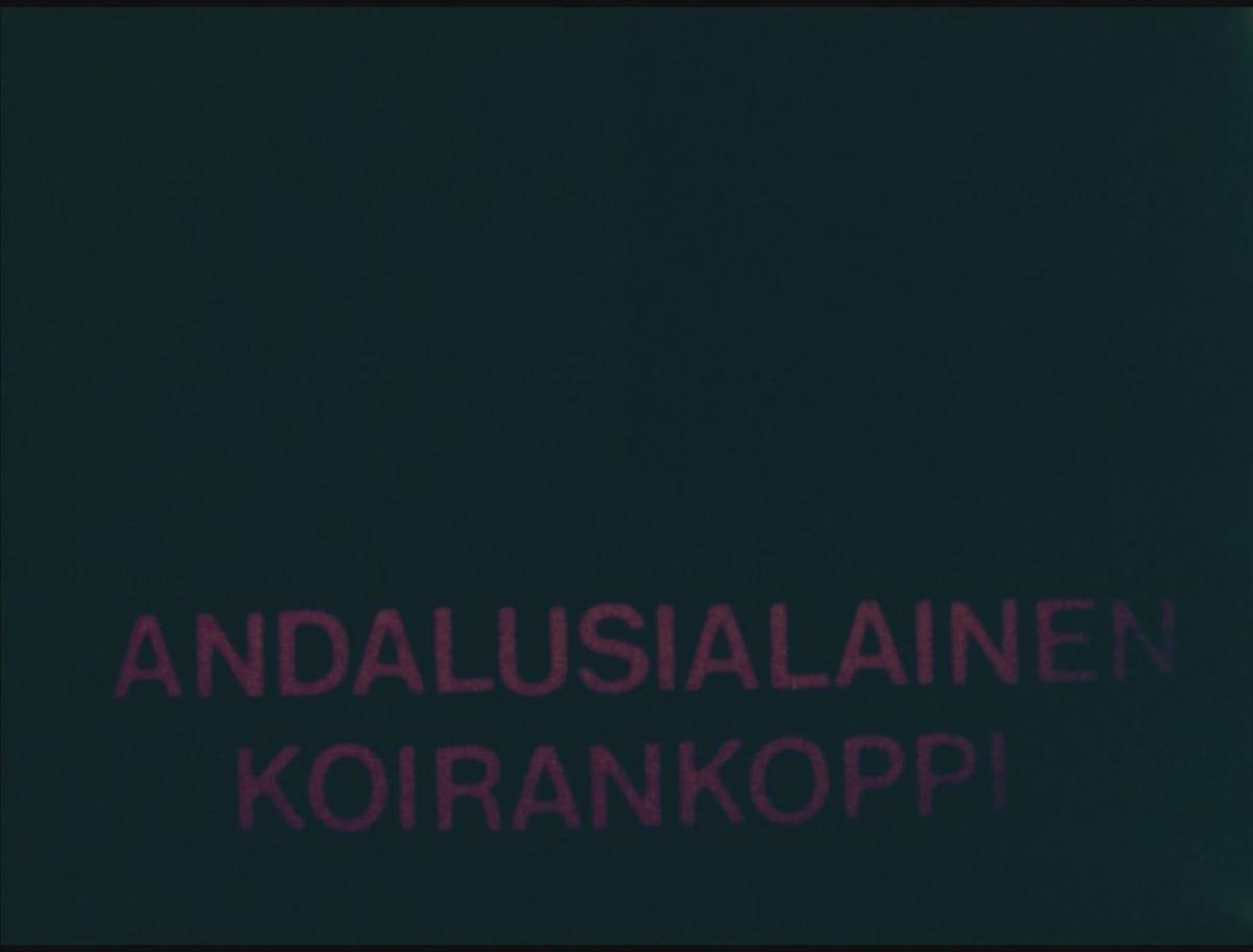 Andalusialainen koirankoppi