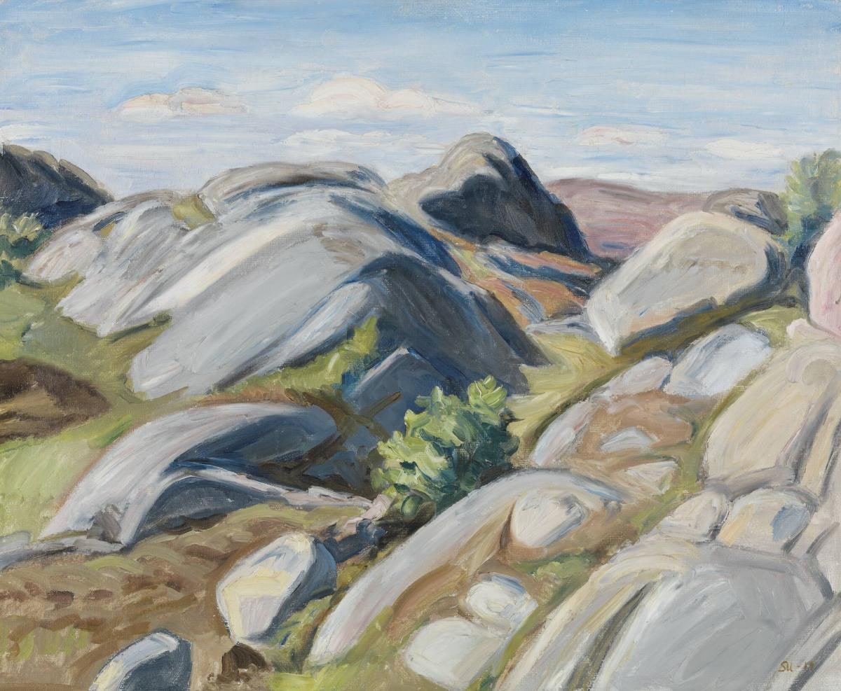 Berglandskap