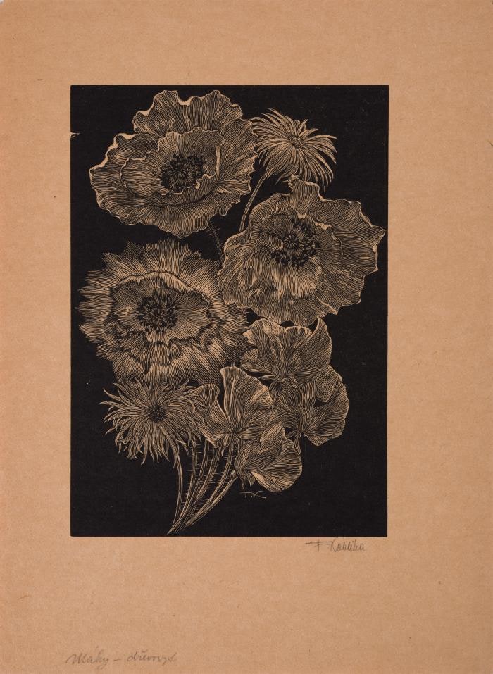 Poppies