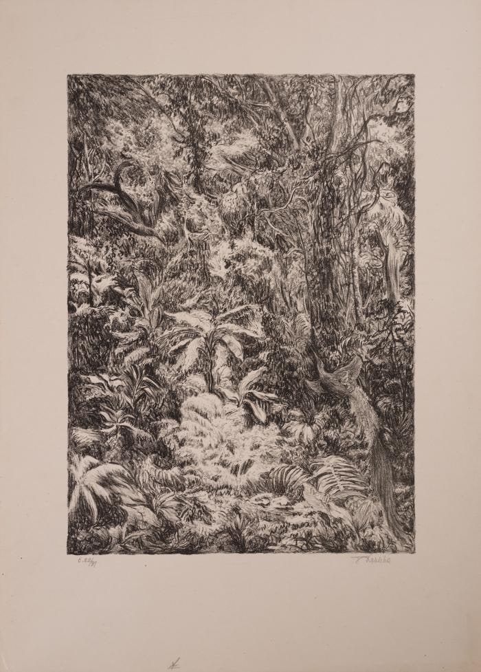 From the Series "Fantasy of Moonlit Nights"