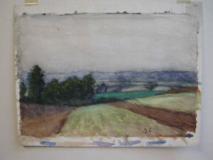 Open landscape