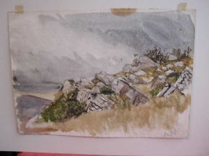 Study of rocks at Zennor, Cornwall
