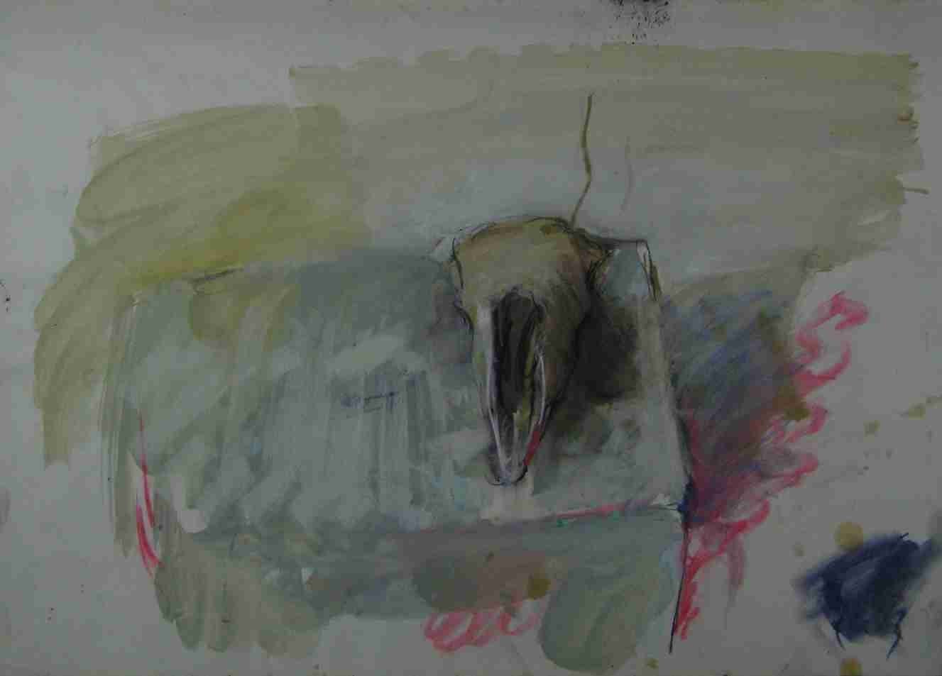 Bird skull study, page 29 from Duncan Shanks sketchbook 1
