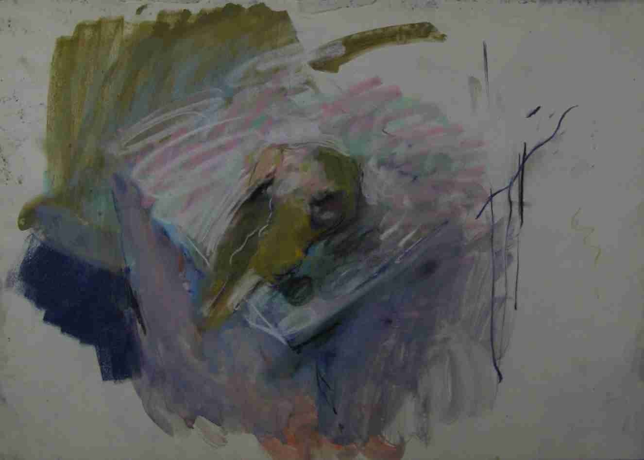 Bird skull study, page 28 from Duncan Shanks sketchbook 1