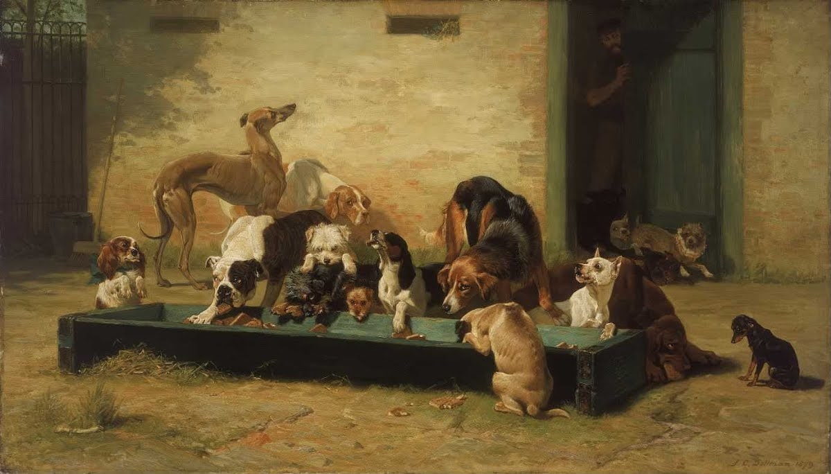 Table d'Hote at a Dogs' Home